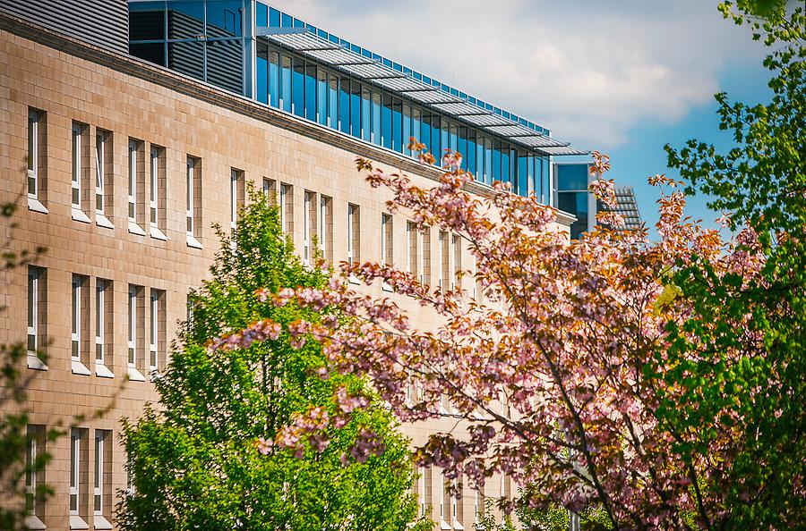 Flughafengelände und Wyndham Bad Oeynhausen in Nordrhein-Westfalen